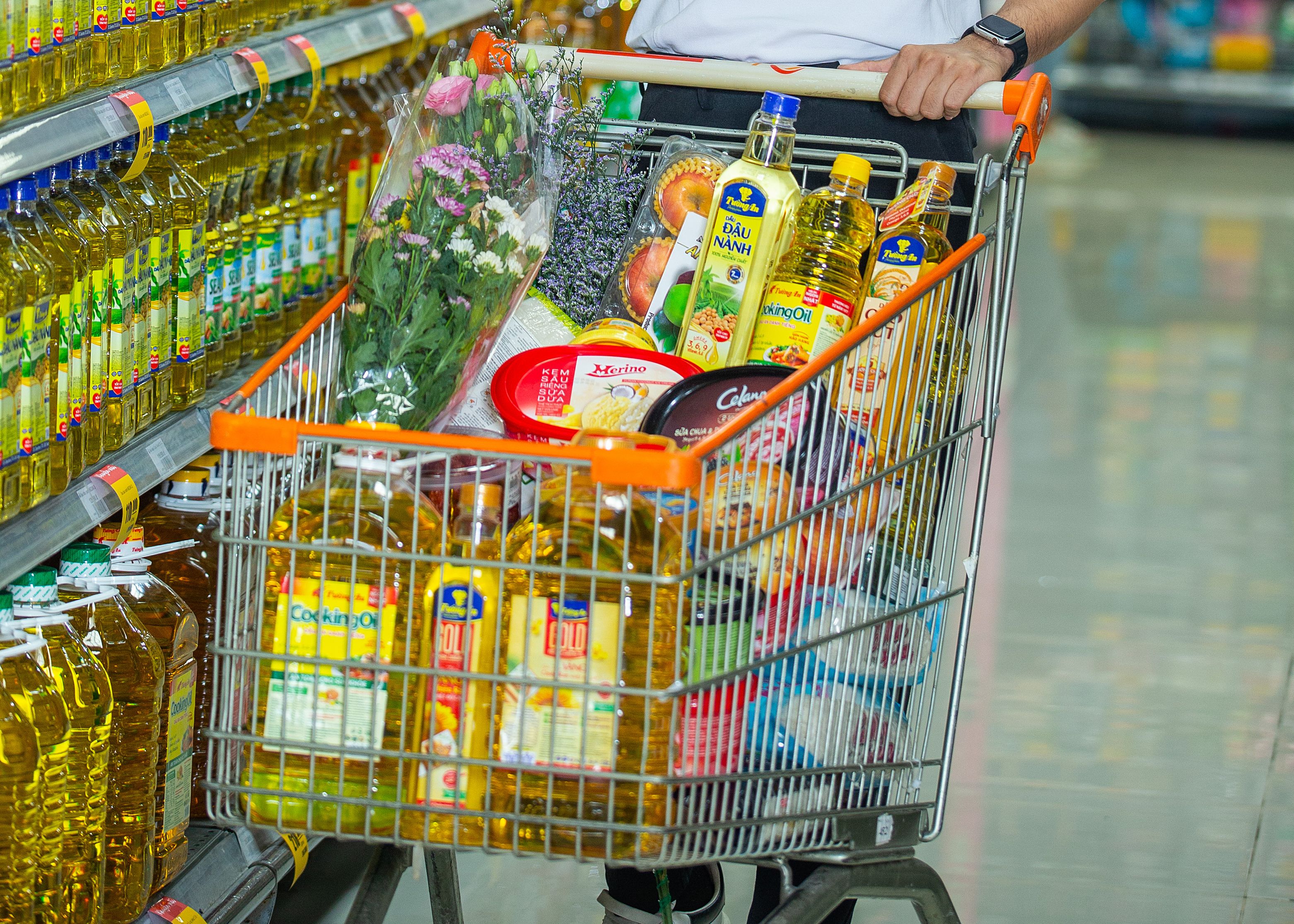 C&acirc;u chuyện KIDO