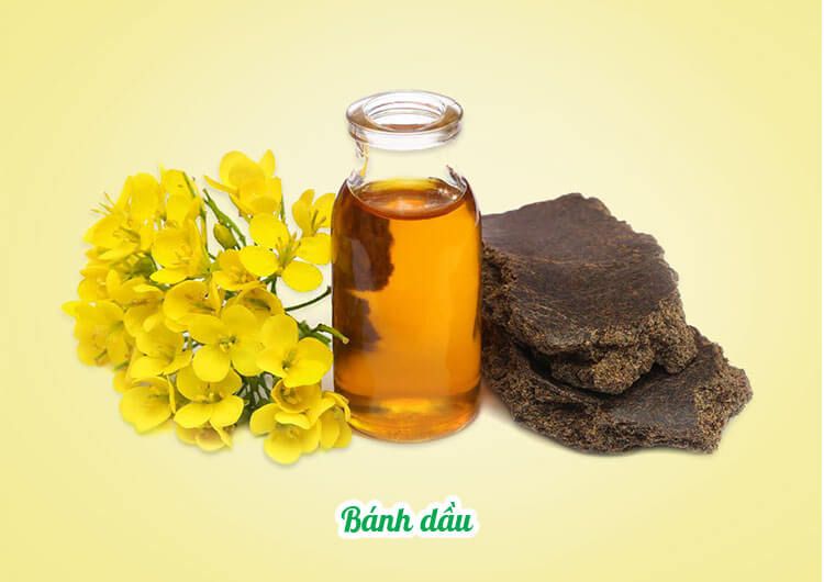 Sản phẩm kh&aacute;c 2