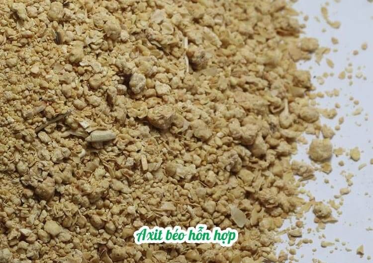 Sản phẩm kh&aacute;c 4