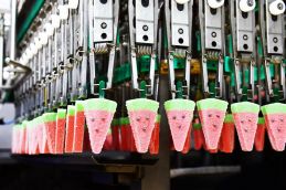 KDC on course to hit profit target Kem Dua Hau 1